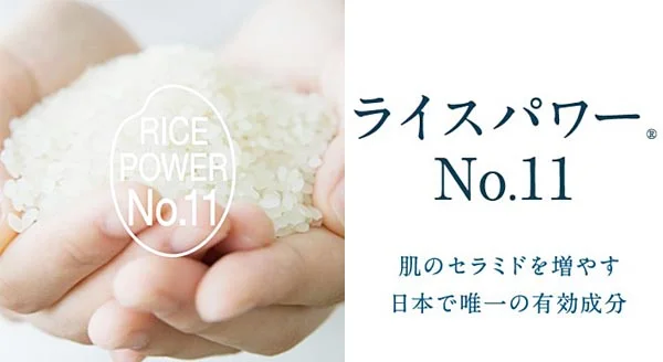 ライスパワーNO.11